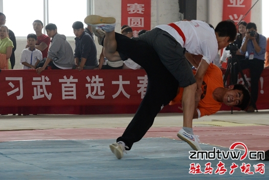 2015陳家溝太極拳精英賽在正陽縣舉行