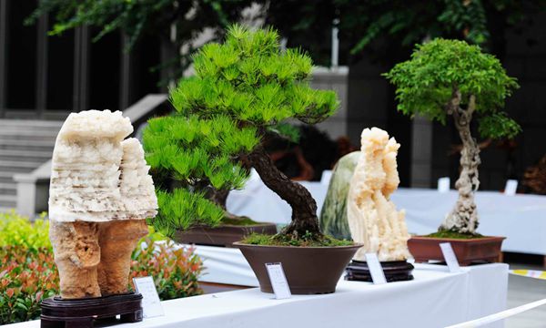 根雕、奇石、盆景展亮相2015“農(nóng)洽會(huì)”