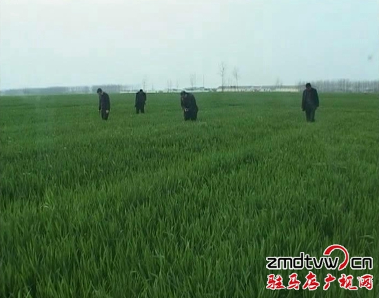 暴風截圖20153268369921_副本.jpg