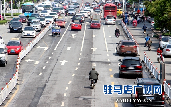 &ldquo;愜意&rdquo;穿行在機動車道上.JPG