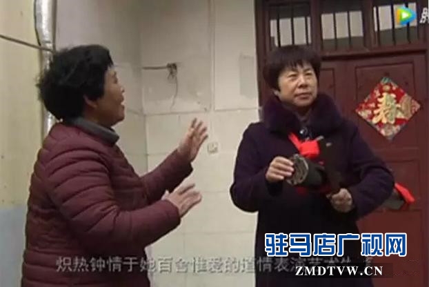  &ldquo;九歲紅&rdquo;50余載癡迷于河南&ldquo;道情&rdquo;