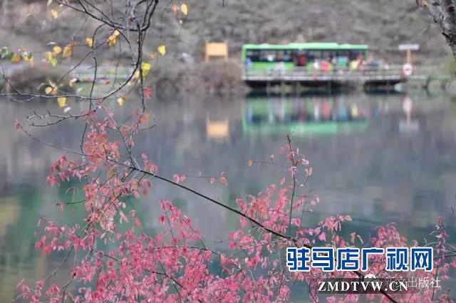 秋，落紅------