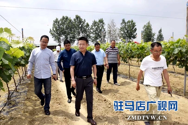 【新時(shí)代 幸福是奮斗出來的】黨進(jìn):為教育和企業(yè)發(fā)展努力奮斗