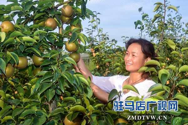 正陽(yáng)永興鎮(zhèn)李軍:昔日“貧困戶(hù)”今日“扶貧戶(hù)”