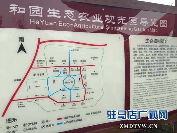 泌陽這個(gè)村子 迷倒一群群城里人