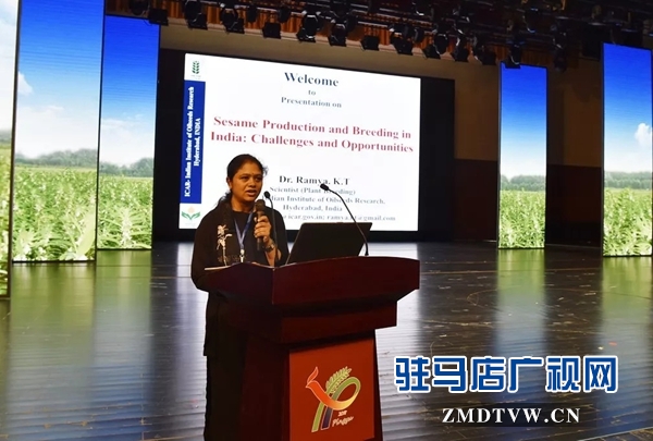 芝麻產(chǎn)業(yè)創(chuàng)新發(fā)展高端報(bào)告會(huì)在平輿舉行