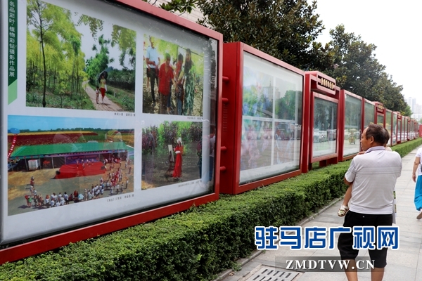 “名品彩葉、植物彩鉆”攝影作品亮相駐馬店光影藝術(shù)長廊