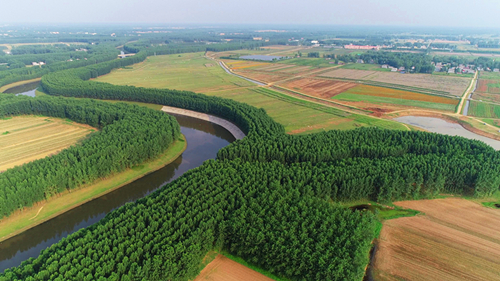 “國家森林城市”授牌大會(huì)強(qiáng)市云集 農(nóng)業(yè)大市駐馬店為何能作典型發(fā)言