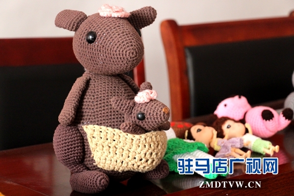 “余氏鉤編”創(chuàng)始人到汝南縣舉行免費手工編織技術(shù)培訓(xùn)課