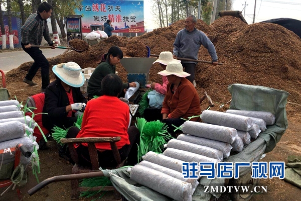 泌陽:冬閑變冬忙 農(nóng)民種菇忙