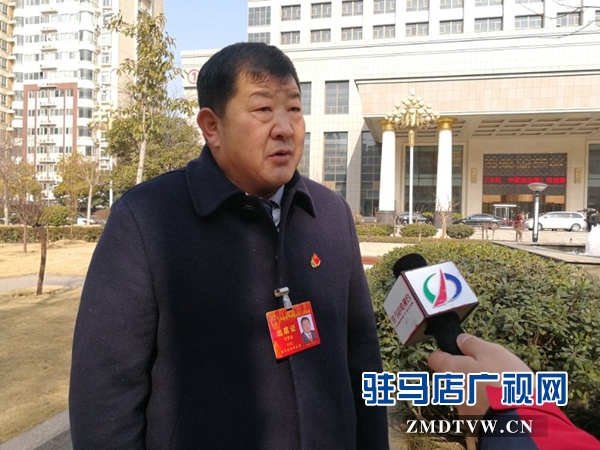 駐馬店代表團熱議陳潤兒省長的政府工作報告