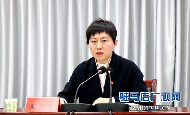 共青團(tuán)駐馬店市委三屆二次全委(擴(kuò)大)會(huì)議召開