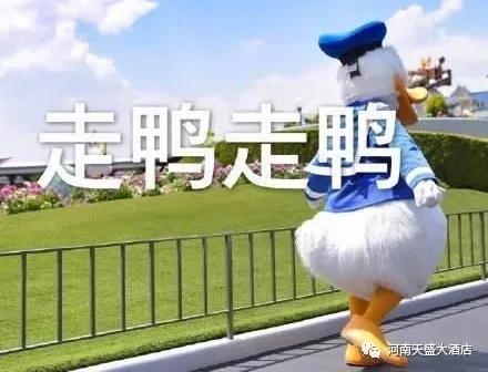 有才你就來(lái)，一大波崗位來(lái)襲！