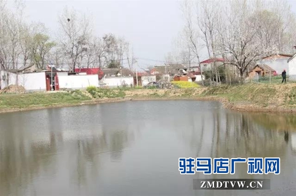 第一書記劉俊領:奏響扶貧“四部曲” 唱出駐村“好聲音”