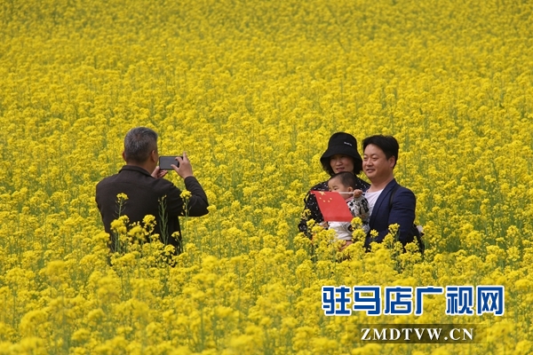 駐馬店魯灣小鎮(zhèn)首屆千畝油菜花節(jié)開幕