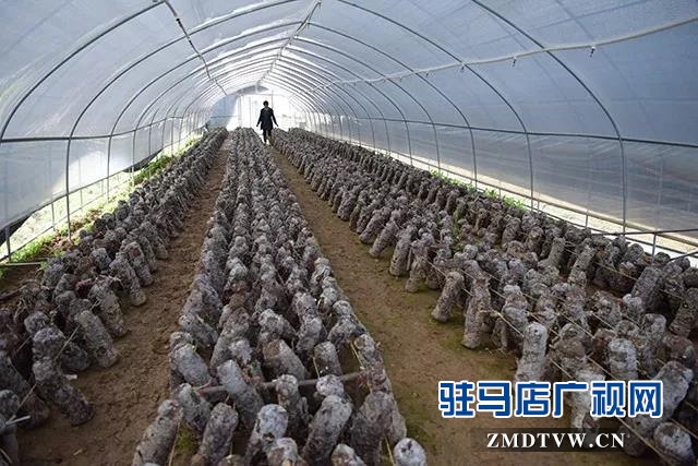 “四議兩公開”工作法集中采訪團(tuán)到上蔡縣調(diào)研