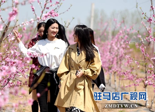 新蔡縣以桃花、番茄、稻香為載體 打造特色農(nóng)產(chǎn)品產(chǎn)業(yè)