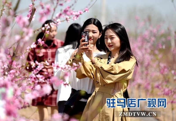 新蔡縣以桃花、番茄、稻香為載體 打造特色農(nóng)產(chǎn)品產(chǎn)業(yè)