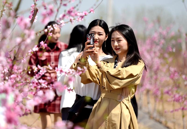 新蔡縣以桃花、番茄、稻香為載體 打造特色農(nóng)產(chǎn)品產(chǎn)業(yè)