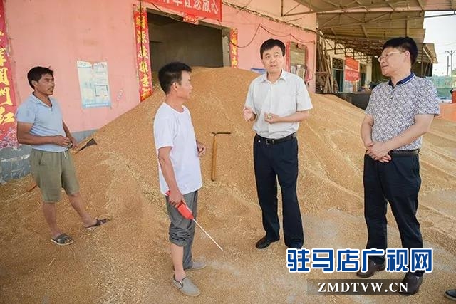 上蔡縣委副書記 縣長李衛(wèi)明深入部分鄉(xiāng)鎮(zhèn)督導“三夏”生產(chǎn)等工作