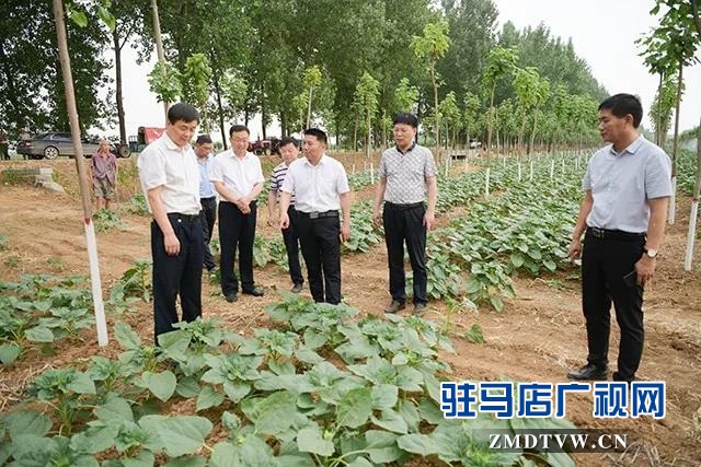 上蔡縣委副書記 縣長李衛(wèi)明深入部分鄉(xiāng)鎮(zhèn)督導“三夏”生產(chǎn)等工作