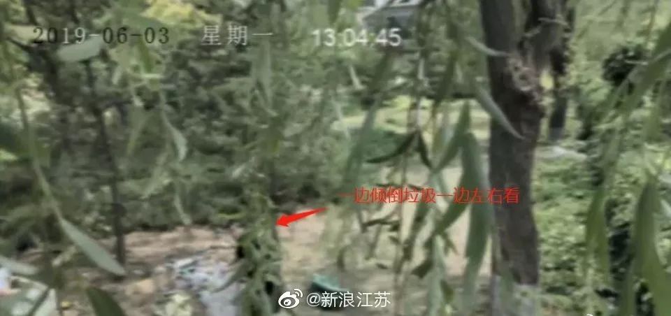 新時代的網紅靠什么才能“躺贏”？ 