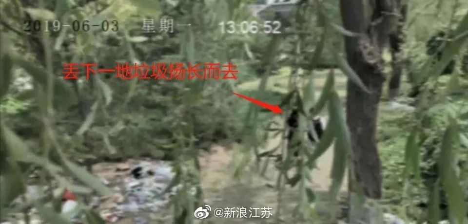 新時代的網紅靠什么才能“躺贏”？ 