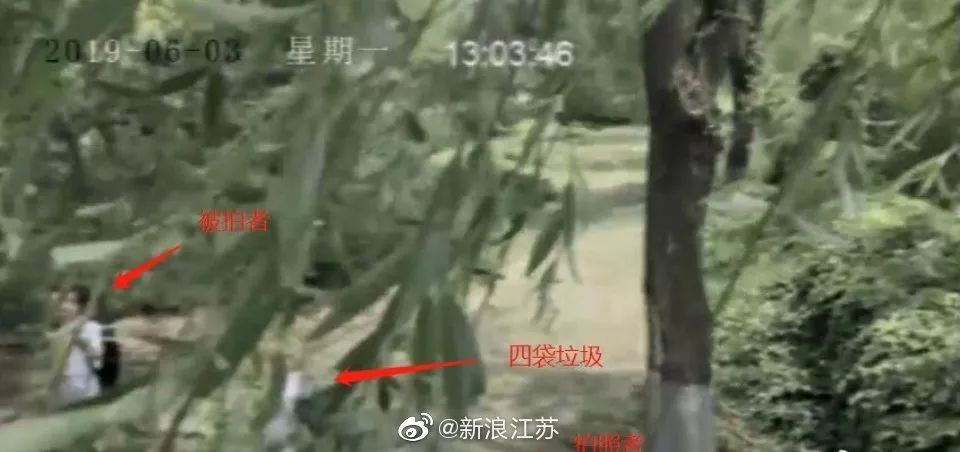 新時代的網紅靠什么才能“躺贏”？ 