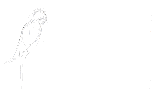 新時代的網紅靠什么才能“躺贏”？ 