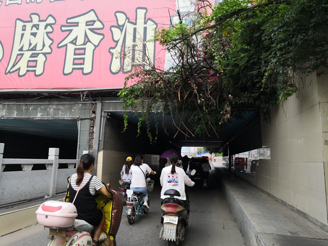 中華路東段地下通道下垂樹(shù)枝存在安全隱患 市民盼修剪