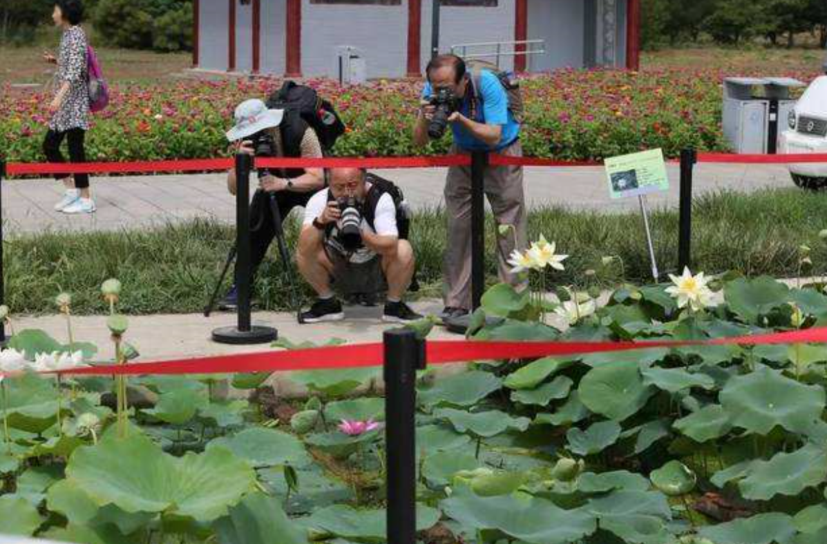 圓明園又一國(guó)寶被挖出，琉璃象首身閃耀金光，專(zhuān)家：終于重見(jiàn)天日