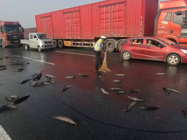 京港澳高速駐馬店段的路面上撒滿了魚，咋回事？