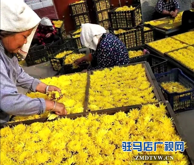 九品村：&ldquo;投洽會&rdquo;上最靚的唯一村級展館