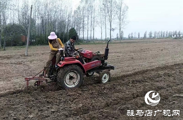 正陽：農(nóng)民互幫隊解決村民種地難題