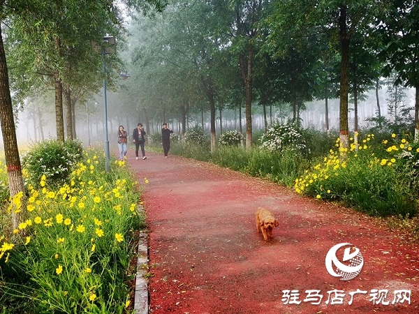 正陽:清水灣里生態(tài)美