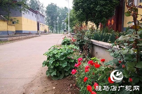 上蔡百尺鄉(xiāng)：頻頻出實(shí)招，村村顏值高