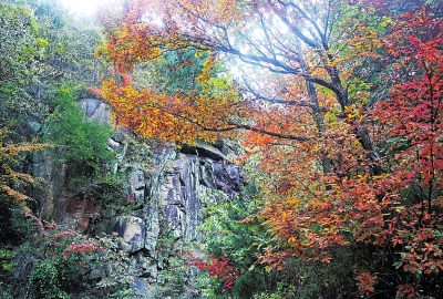 19年來河南凈增782萬畝森林 黃河含沙量比16年前減少了4.75千克立方米