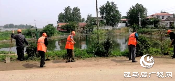 第一書記楊磊:用實干詮釋90后的擔(dān)當(dāng)