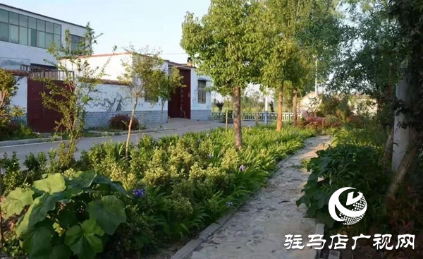 第一書記董禧穎:拆掉隔心墻 把黨支部建在群眾的心坎上