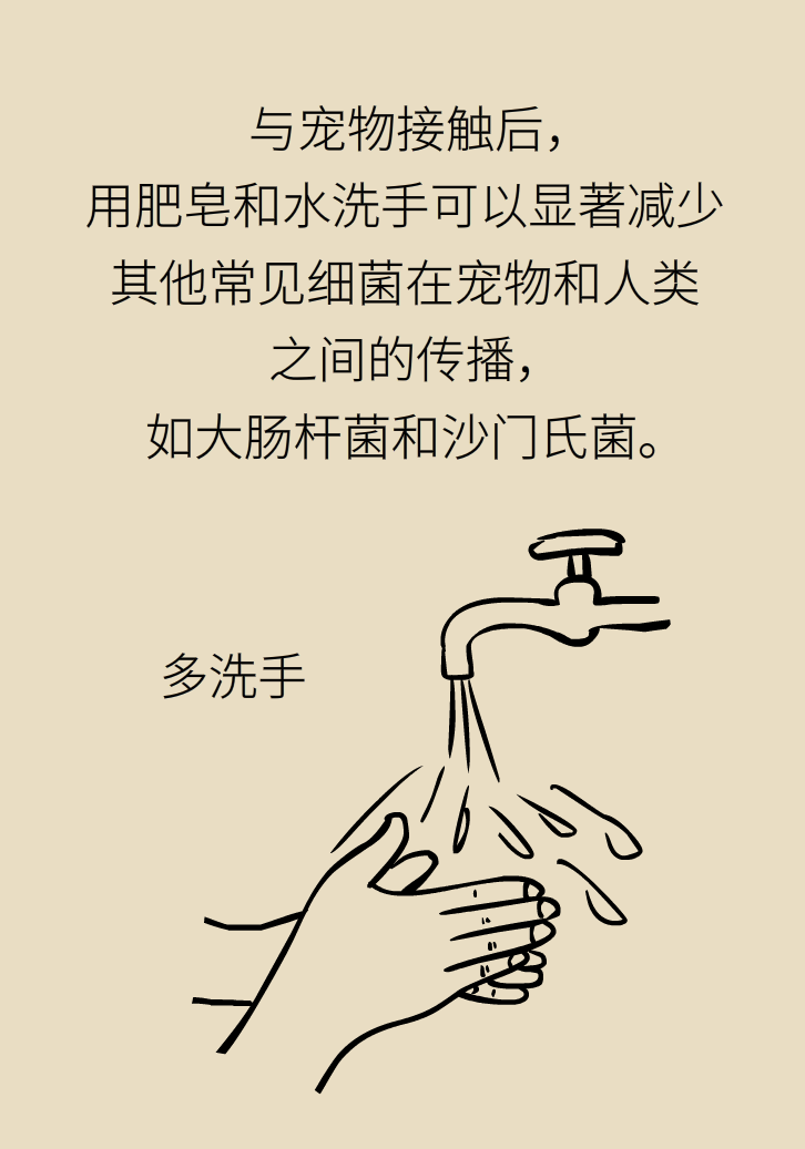 寵物也會(huì)感染病毒？