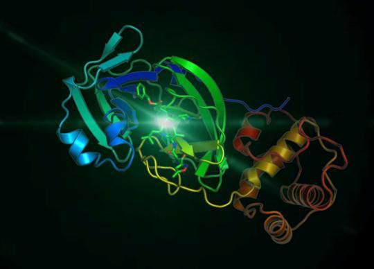 九問新型冠狀病毒：新病毒比SARS“狡猾”在哪兒？