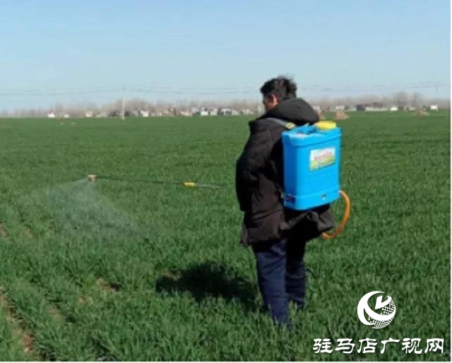 上蔡縣塔橋鎮(zhèn):防疫不松 春耕不誤