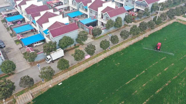 河南:人勤春來早 復(fù)工復(fù)產(chǎn)忙