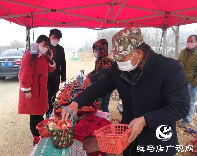 上蔡縣蔡埠口村:提升果品質(zhì)量 服務農(nóng)戶銷售