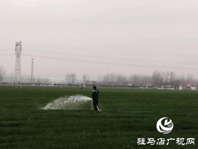 上蔡縣洙湖鎮(zhèn):疫情防控和脫貧攻堅兩手抓