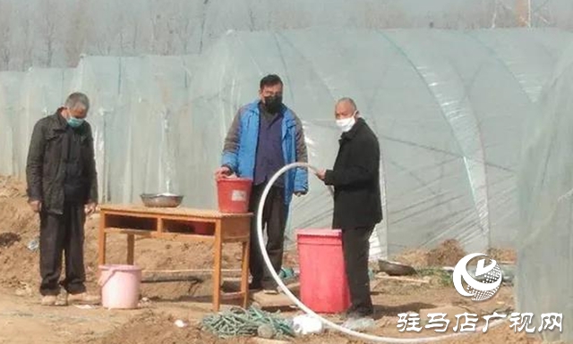 上蔡縣重陽街道:扶貧項(xiàng)目生產(chǎn)忙 穩(wěn)定脫貧有保障