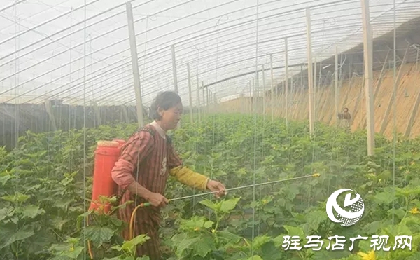 上蔡：&ldquo;四項(xiàng)措施&rdquo;保春耕促生產(chǎn)