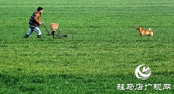 上蔡：&ldquo;四項(xiàng)措施&rdquo;保春耕促生產(chǎn)