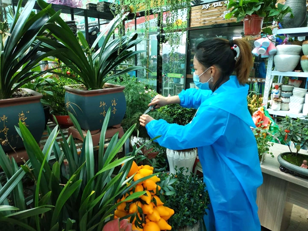 天中花卉市場(chǎng)開市了