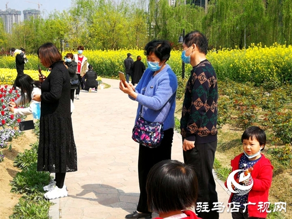 開源公園3萬(wàn)余株郁金香競(jìng)相綻放